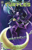 Teenage Mutant Ninja Turtles (2024) #17 1:50 Sweeney Boo Var Comics IDW