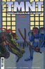 TMNT Journeys #08 Comics IDW