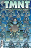 TMNT Journeys #09 Comics IDW