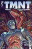 TMNT Journeys #09 Fero Pe Var Comics IDW