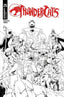 ThunderCats (2024) #25 Declan Shalvey "Line Art" Var Comics - Back Issues Dynamite Entertainment