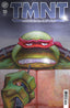 TMNT Journeys #10 1:10 Jim Dooney & Micheal Lawson "Foil" Var Comics IDW