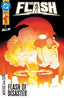 Flash (2023) #33