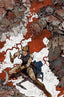 Diablo Dawn of Hatred #02 Kelsey Ramsay "Vrigin" Var