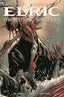 Elric The Sleeping Sorceress #02 Valentin Sucher "Sword in Chest" Var Comics - Back Issues Titan Comics