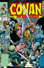 Conan the Barbarian Original Marvel Years Omnibus HC 08 W. Johnson & Geoff Isherwood Cvr