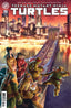 Teenage Mutant Ninja Turtles (2024) #19 1:25 Fero Pe Var Comics IDW