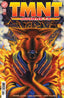 TMNT Journeys #11 Books IDW