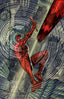 Daredevil (2026) #02 2nd Ptg 1:25 Stephen Platt Var Comics Marvel Comics