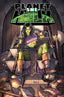 Planet She-Hulk TP 01 Trades/Hard Covers Marvel Comics