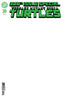 Teenage Mutant Ninja Turtles (2024) #20 "Blank" Var Books IDW