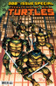 Teenage Mutant Ninja Turtles (2024) #20 Kevin Eastman & Peter Laird Var Books IDW