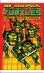 Teenage Mutant Ninja Turtles (2024) #20 "Blind Bag" Var Books IDW