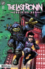 Teenage Mutant Ninja Turtles The Last Ronin Training Day #01 Kevin Eastman Var Books IDW