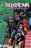 Teenage Mutant Ninja Turtles The Last Ronin Training Day #01 Kevin Eastman Var Comics IDW