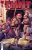 TMNT Journeys #12 Mateus Santolouco Var Comics IDW