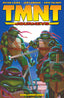 TMNT Journeys TP 01 Trades/Hard Covers IDW