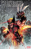 Wolverine (2024) #24 1:25 Adam Gorham Var