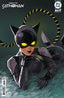 Absolute Catwoman #02 Leirix Var Books DC Comics