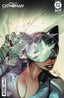 Absolute Catwoman #02 Mirka Andolfo Var Books DC Comics