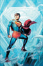 Action Comics (2016) #1100 Jim Cheung "Foil" Var
