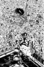 Do a Powerbomb Black & White #01 Daniel Warren Johnson "D" Var