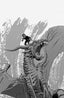 Lost Fantasy #12 1:25 Alex Diotto Var