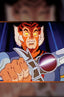 ThunderCats X Silverhawks Thunderhawks #04 1:10 "Animation Art" Var