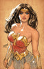 Wonder Woman (2023) #35 David Nakayama Var Books DC Comics