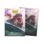 Dragon Shields 100 Ct The Snortle