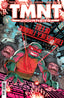 TMNT Journeys #13 Dave Wachter Var