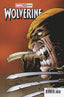 Wolverine (2024) #25 1:25 Netho Diaz Var