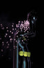 Batgirl (2024) #22