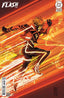 Absolute Flash #19 Denys Cowan Var Comics DC Comics