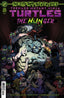 Teenage Mutant Ninja Turtles The Hunger One Shot Chamba Var Comics IDW