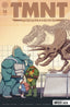 TMNT Journeys #14 Vitor Cafaggi Var