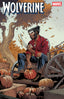 Wolverine (2024) #27 Netho Diaz Var Comics Marvel Comics