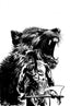 Fire and Ice Darkwolf #03 1:5 Fernando Proietti Var