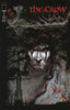 Crow (1999) #01 Todd McFarlane Var