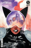 Absolute Catwoman #04 Dustin Nguyen Var