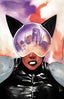 Absolute Catwoman #04 Dustin Nguyen Var