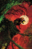 Catwoman (2018) #92
