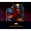 Marvel Collecting The Universe HC Trades/Hard Covers Insight Editions