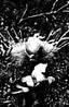 Swamp Thing is Killing the Children #01 Werther Dell'Edera "Full Art" Var
