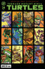 Teenage Mutant Ninja Turtles (2024) #24 1:25 Jacob Perez Var