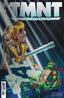 TMNT Journeys #16 1:10 Michael Dooney & Jim Lawson Var