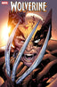 Wolverine (2024) #29 1:25 Greg Land Var