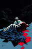 Batman and Robin Year One Dynamic Duos #05