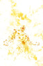 Fury of Firestorm (2026) #09