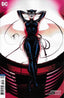 Catwoman (2018) #18 Anka Var Comics - Back Issues DC Comics